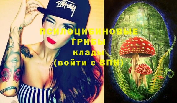эйфоретик Белокуриха
