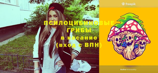 эйфоретик Белокуриха