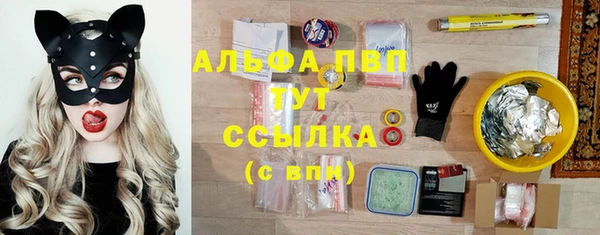 эйфоретик Белокуриха